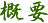 概要
