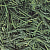煎茶